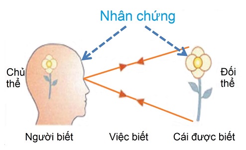 Kĩ thuật biết người biết và chứng kiến