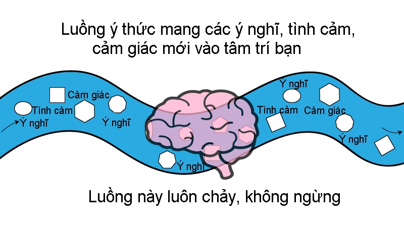 Chùm ý nghĩ và bản ngã