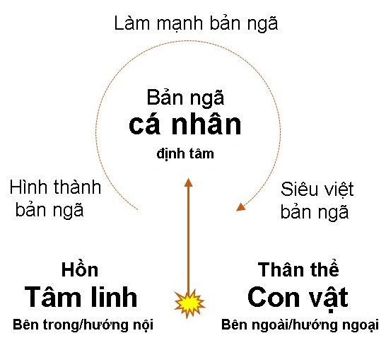 Thân thể và bản ngã