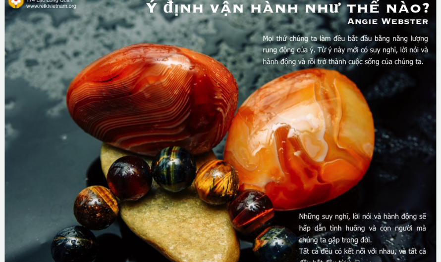 Ý định vận hành như thế nào?