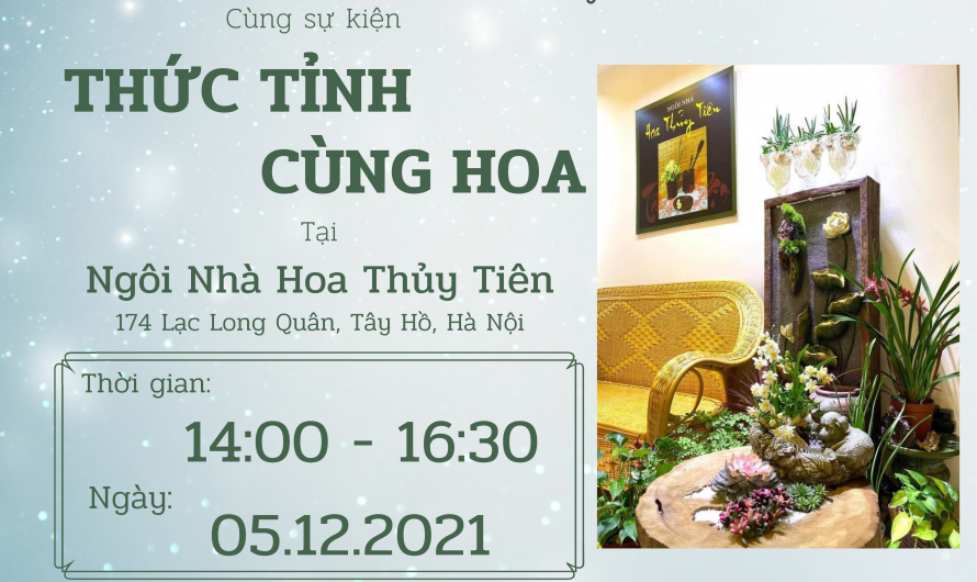 Chia sẻ cộng đồng tháng 12.2021 – Nghệ thuật Gọt tỉa Hoa thủy tiên đón chào Giáng sinh và năm mới 2022