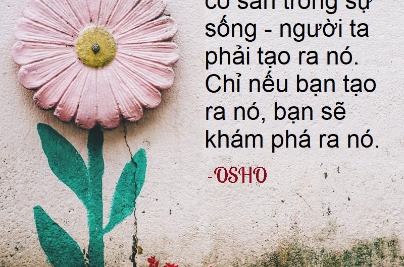 Biết ơn sự sống