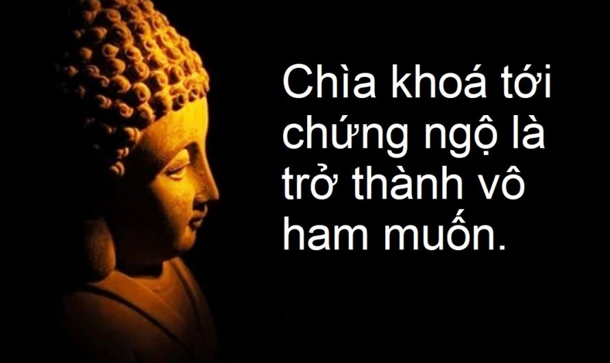 Ham muốn chứng ngộ và chứng ngộ