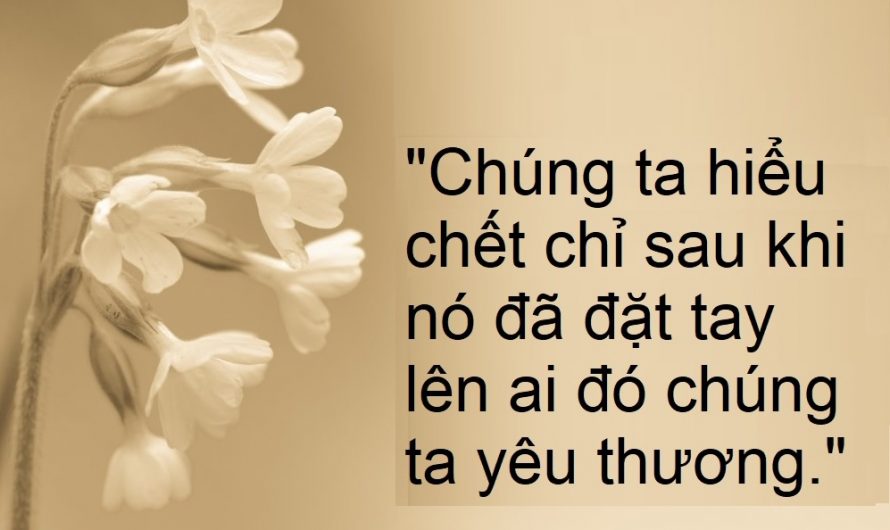 Tìm hiểu về chết