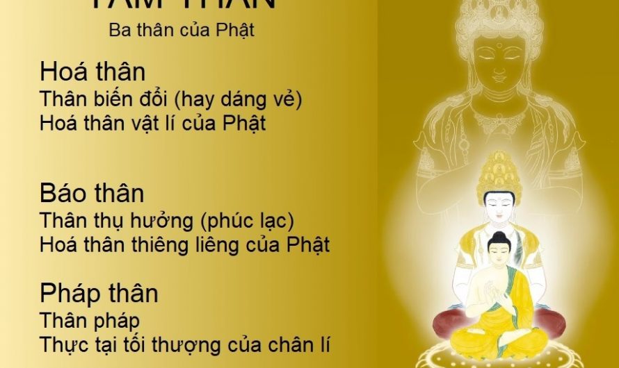 Cái nhìn ba thân và cái nhìn toàn thể