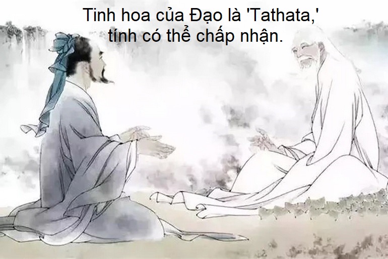 Tâm trí tư dục chỉ thấy chỗ chia lìa của Đạo