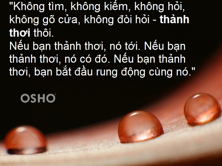 Không khoe hiểu biết