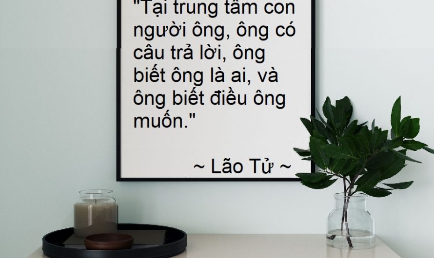 Tìm trung tâm bên trong – phát triển năng lực quan sát