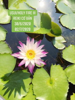 Reiki Cơ Bản tại Hà Nội:  30/6/2020, 2/7/2020