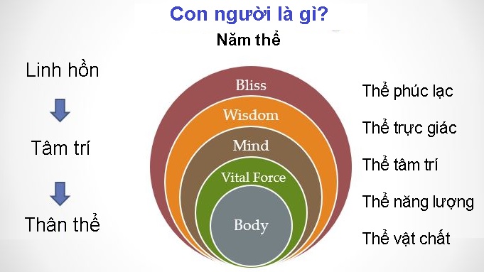 Năm thể của con người