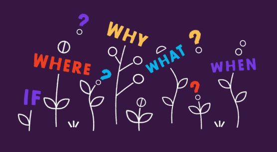 Câu hỏi và câu trả lời