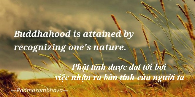 Im lặng – Thấy – Ham muốn – Phật