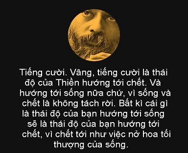 Thái độ của Thiền hướng tới chết là gì?