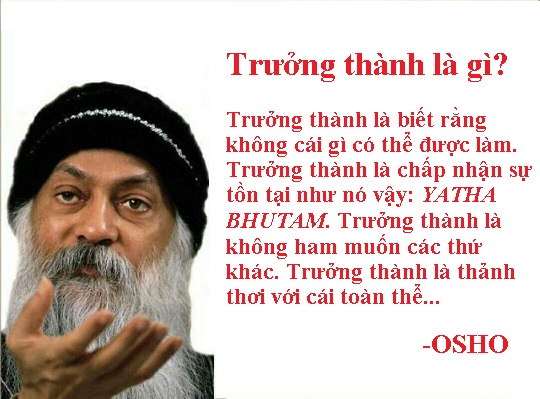 Trưởng thành là gì?