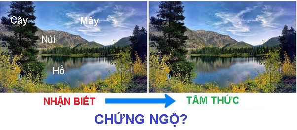 Bất thần và tiến dần