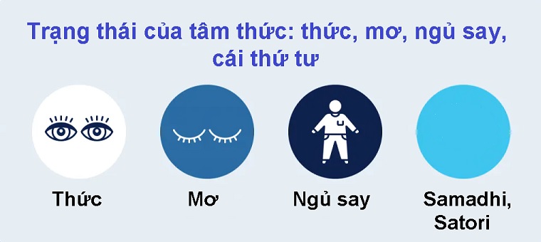 Thức – mơ – ngủ say – cái thứ tư