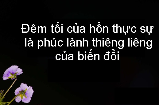 Tối và Sáng
