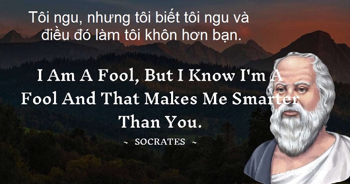 Là người ngu tôi phải làm gì?