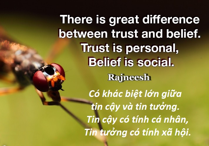 Tin tưởng, hoài nghi, tin cậy