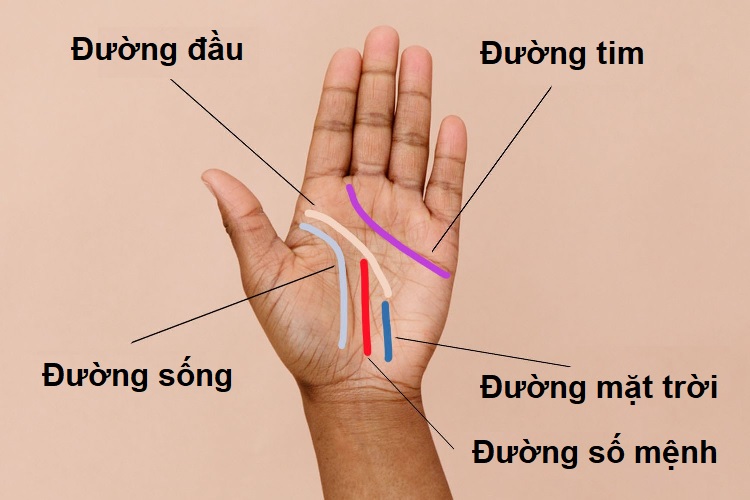 Chiêm tinh học – tương lai và quá khứ