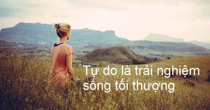 Bối rối với tự do