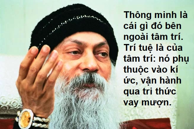 Trí tuệ và thông minh