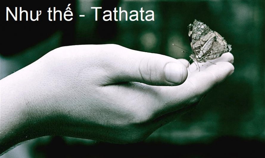Như thế – Tathata