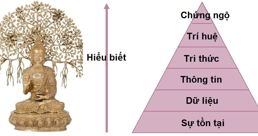 Thông tin và hiểu biết