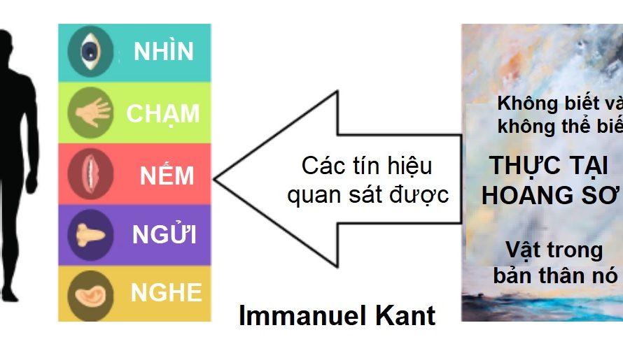 Biết cái phản xạ của chân lí