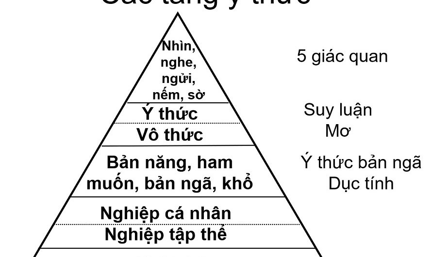 Chiều sâu bên trong của việc hiểu
