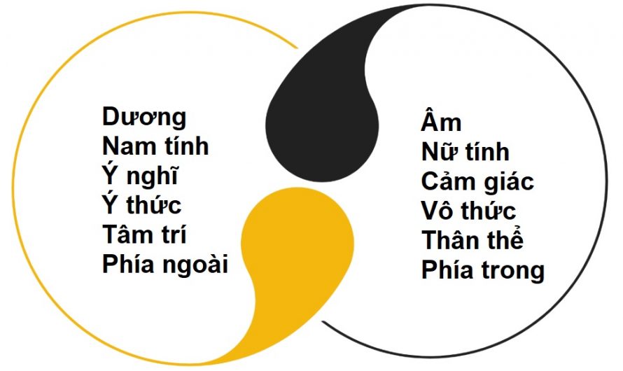 Cách thức của tâm trí nam và nữ