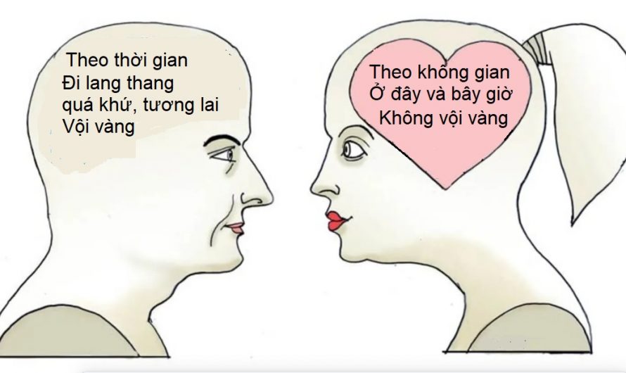 Khác biệt giữa tâm trí nam và nữ