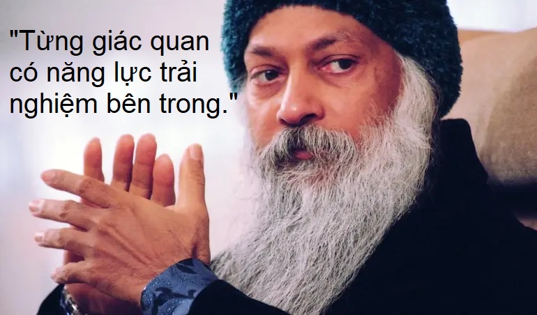 Giác quan ngoài và giác quan trong