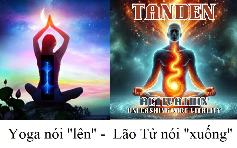 Năng lượng đi lên theo Yoga hay đi xuống theo Đạo?