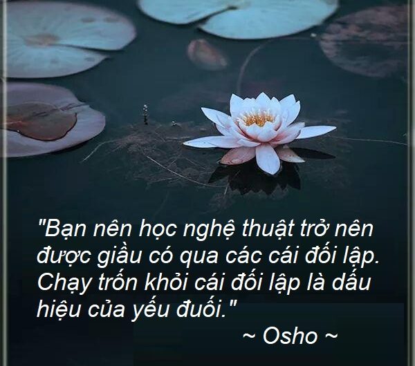 Qui tắc của các cái đối lập