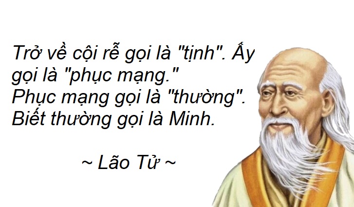 Trở về cội rễ gọi là Tịnh – hình thể và vô hình thể