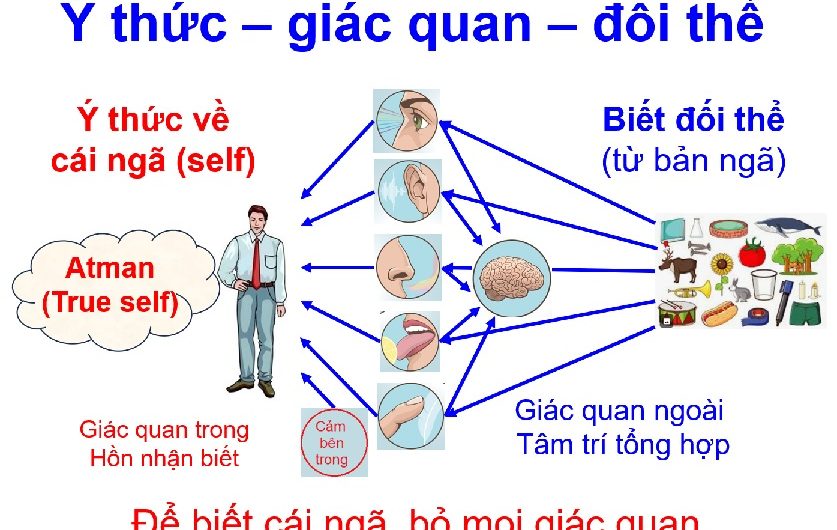 Làm lộ cái ngã đơn giản của ông