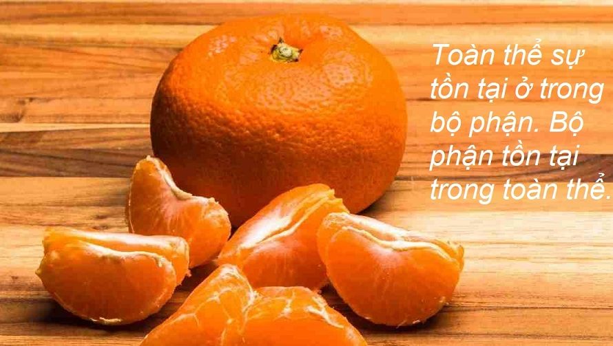 Bộ phận và toàn thể