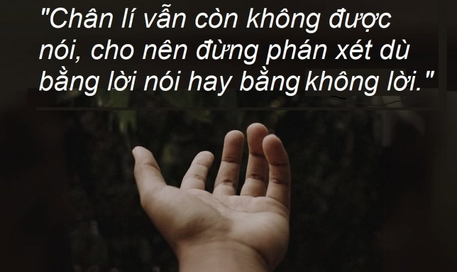 Đệ tử không phán xét