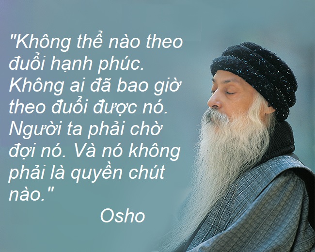 Theo đuổi hạnh phúc